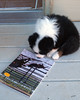 AS 0901

This photo is currently on the back cover of the November-December 2007 issue of "Aussie Times" magazine.